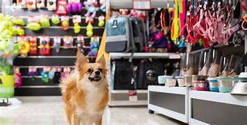 Tienda Mascotas